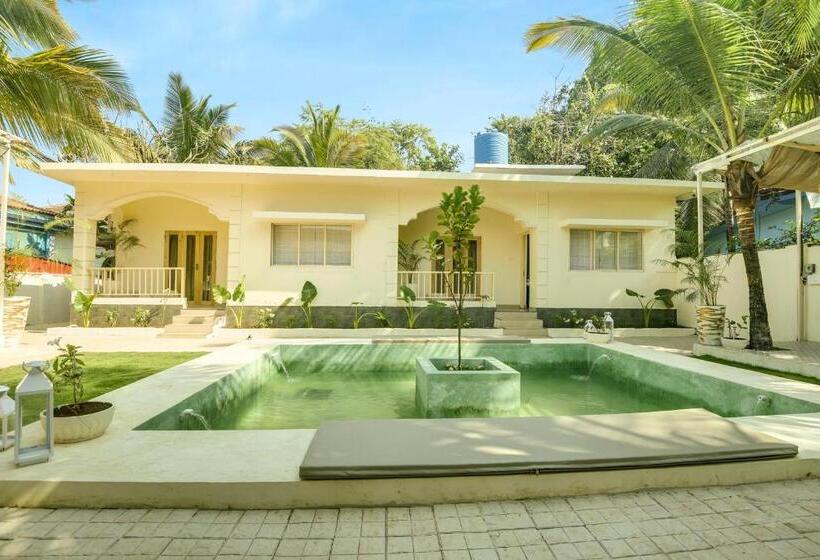 فندق Collection O Olive Turtle