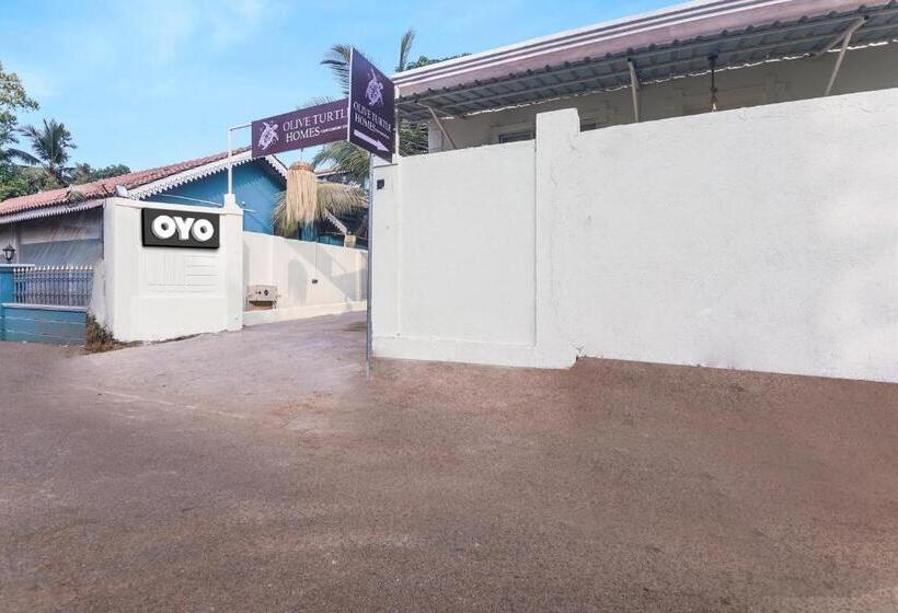 فندق Collection O Olive Turtle