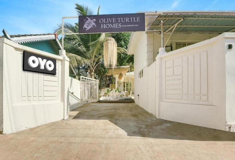 فندق Collection O Olive Turtle