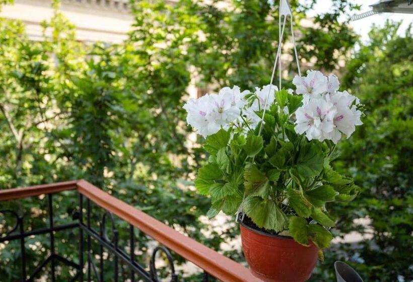 בית מלון כפרי Elysium