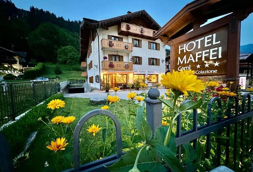 호텔 Garnì Maffei