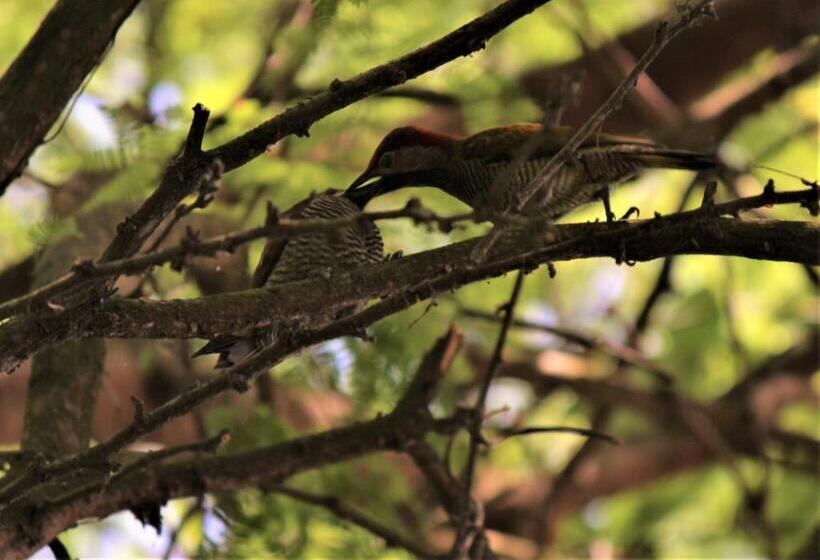 فندق Itapoa Reserve
