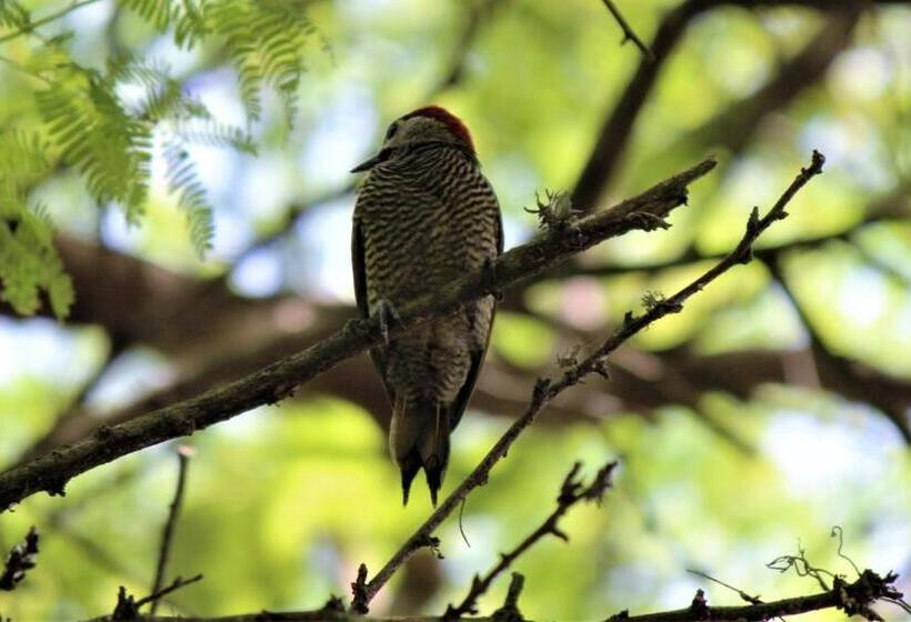 فندق Itapoa Reserve