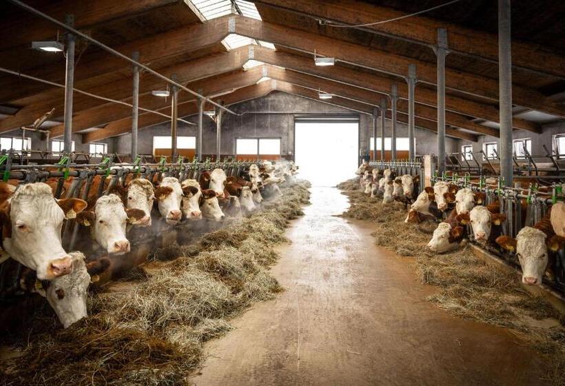 בית מלון כפרי Jaggling Appartements