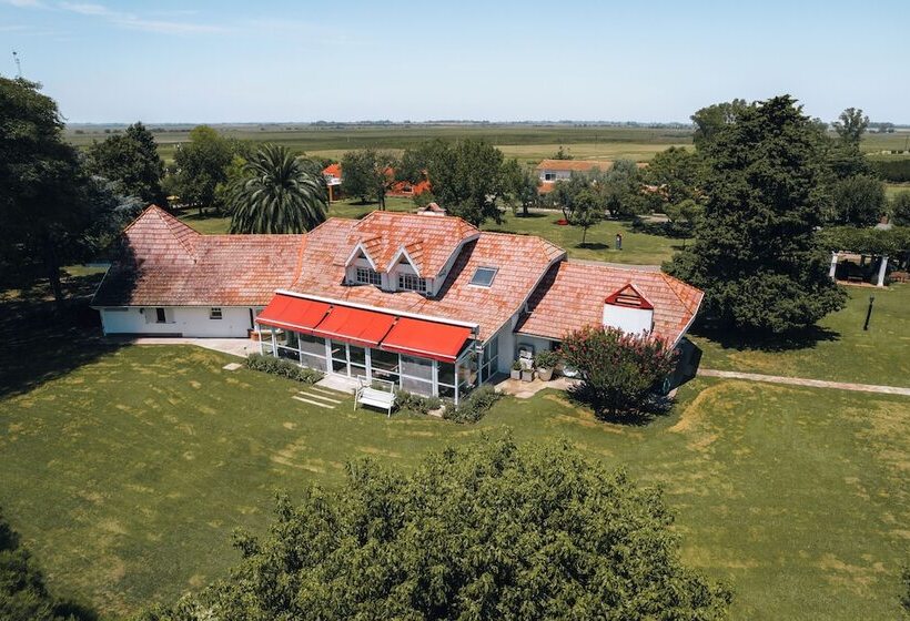 فندق La Santina Posada & Experiencias De Campo