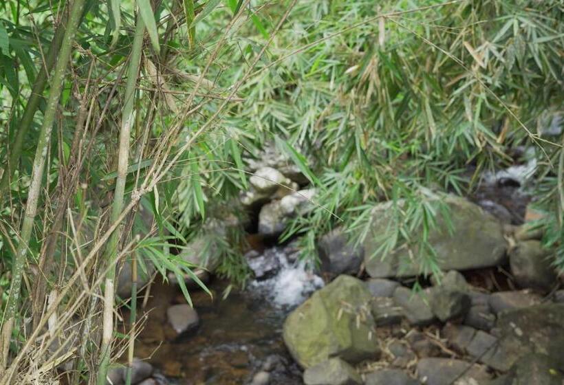 ホテル Liberty Resort