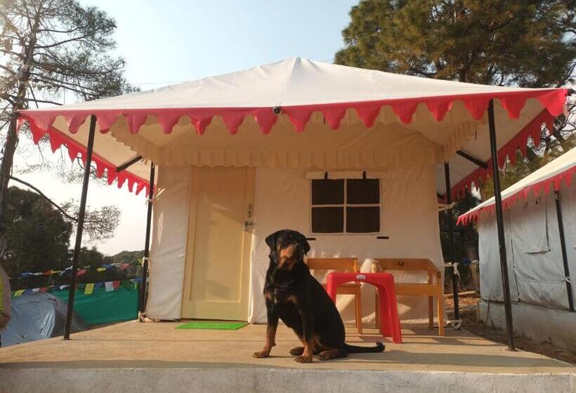 酒店 Nirvana Eco Camp, Bir