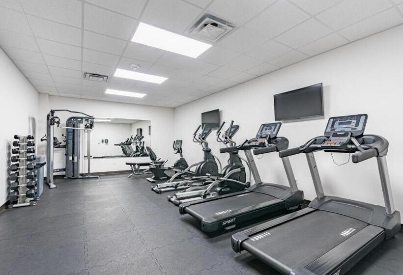 בית מלון כפרי Plantation East 4109