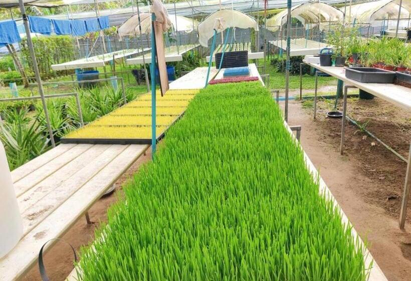 فندق The Willow Phangan