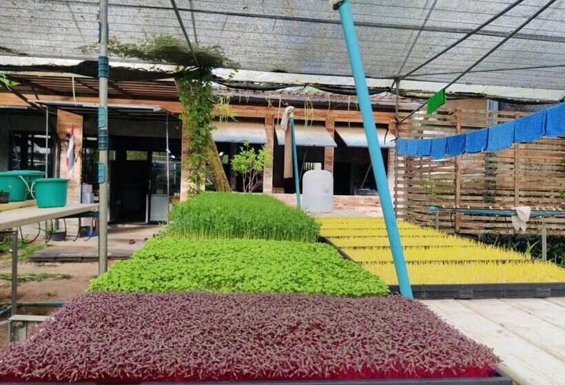 ホテル The Willow Phangan