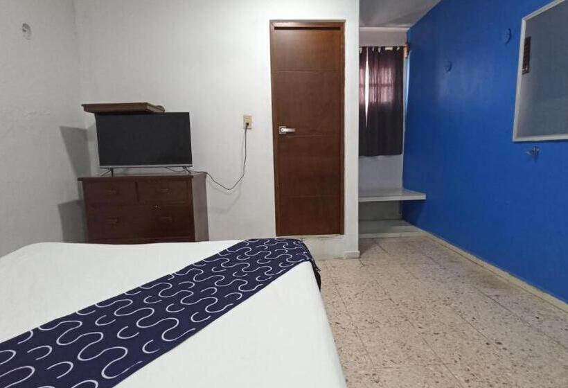 Отель Tropical Suites