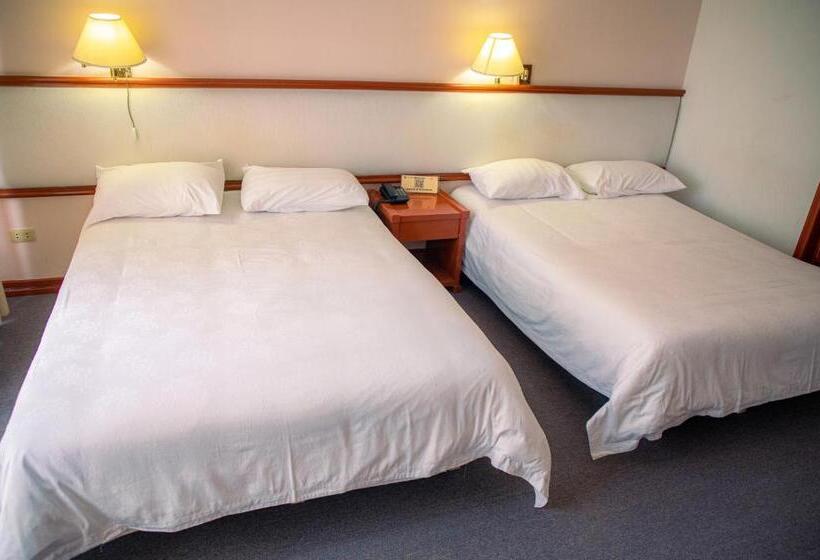 هتل Viña Del Sur