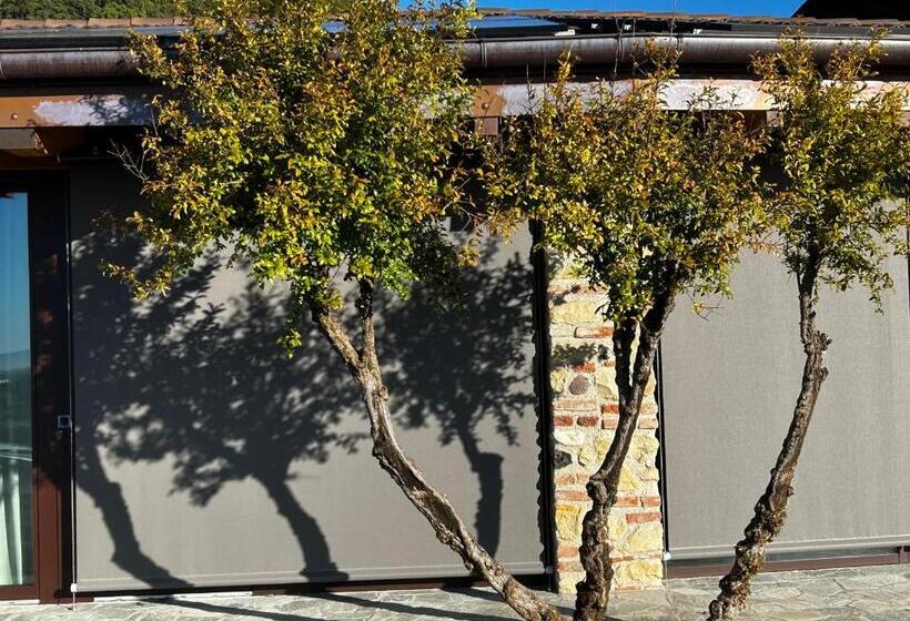 Nuovo B&b Colline San Benedetto