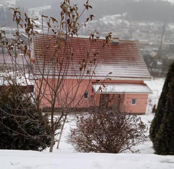 Пансион у софії