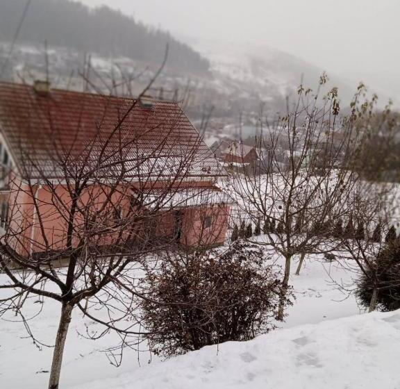 Пансион у софії