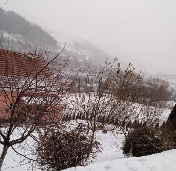 Пансион у софії