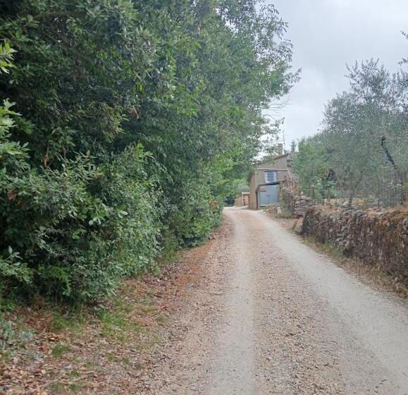 بنسيون Affittacamere La Casella Monteriggioni