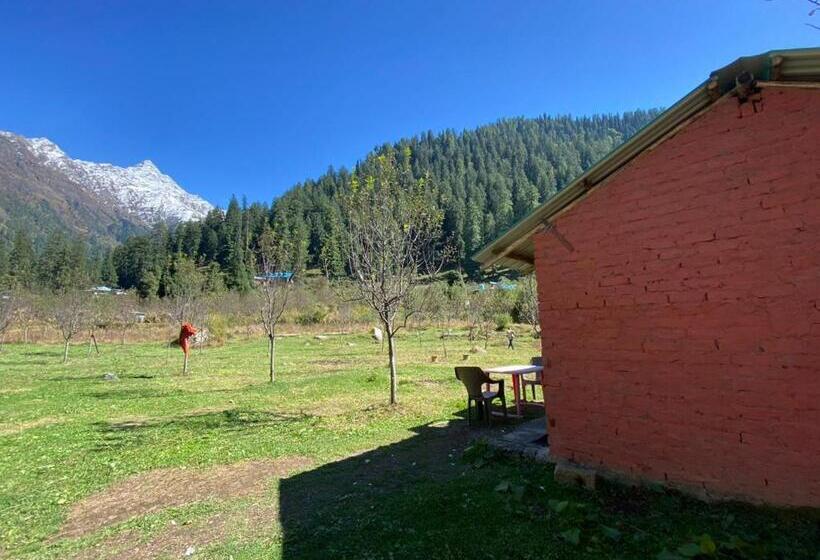 بنسيون Baked In Parvati