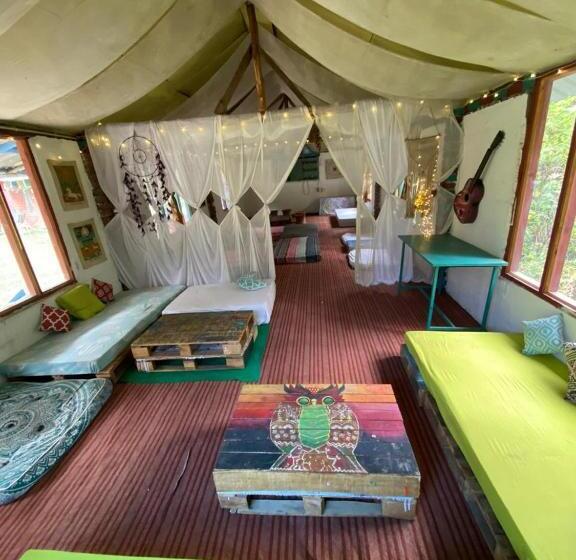 بنسيون Baked In Parvati