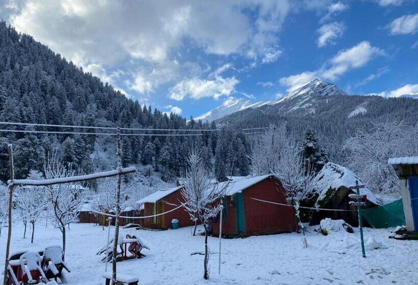 بنسيون Baked In Parvati