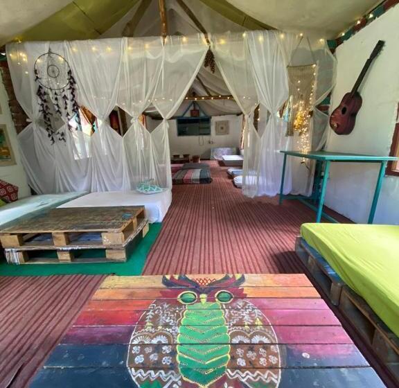 بنسيون Baked In Parvati