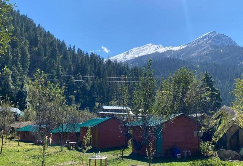 بنسيون Baked In Parvati