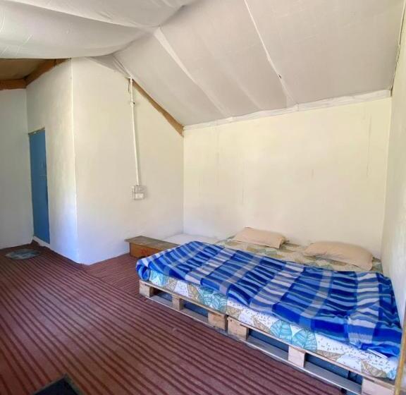 بنسيون Baked In Parvati