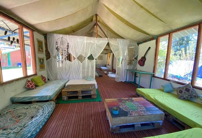 بنسيون Baked In Parvati