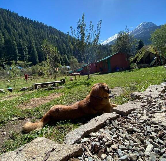 بنسيون Baked In Parvati