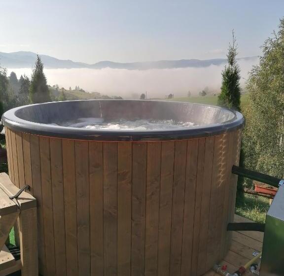 פנסיון Cabana Gabriel Bucovina