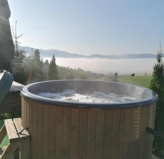 פנסיון Cabana Gabriel Bucovina