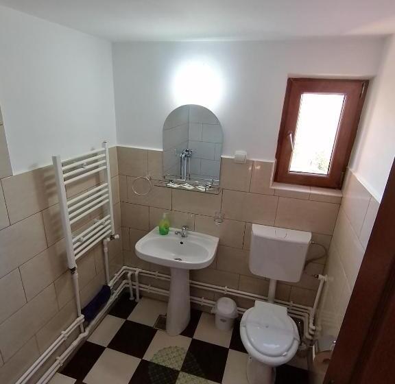 פנסיון Cabana Gabriel Bucovina