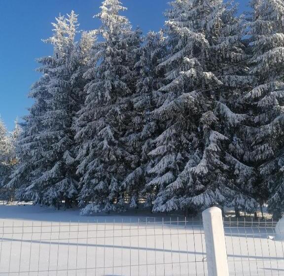 פנסיון Cabana Gabriel Bucovina