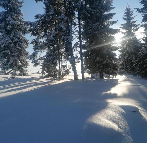 פנסיון Cabana Gabriel Bucovina