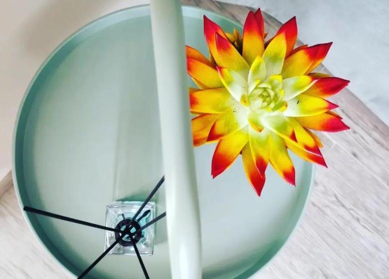 פנסיון Casina Lubric