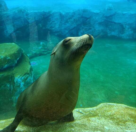 Пансион Guestroom Valençay, 1 Pièce, 2 Personnes Fr 1 591 570