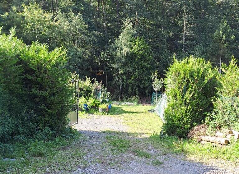 膳宿费 Sublime Forêt