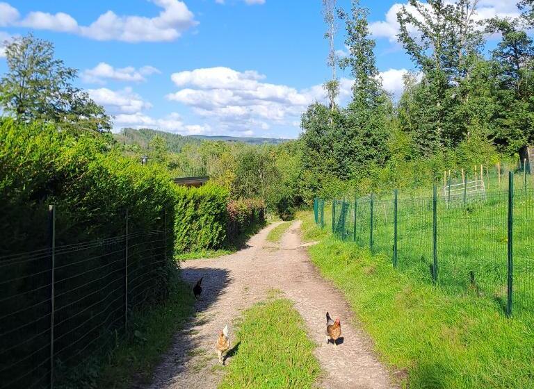 膳宿费 Sublime Forêt