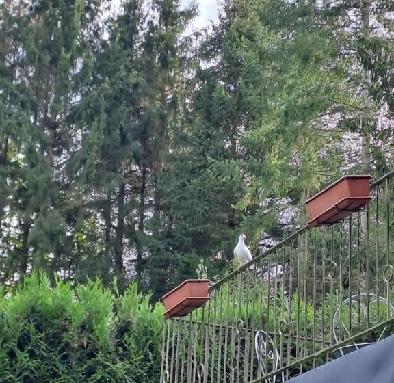 膳宿费 Sublime Forêt