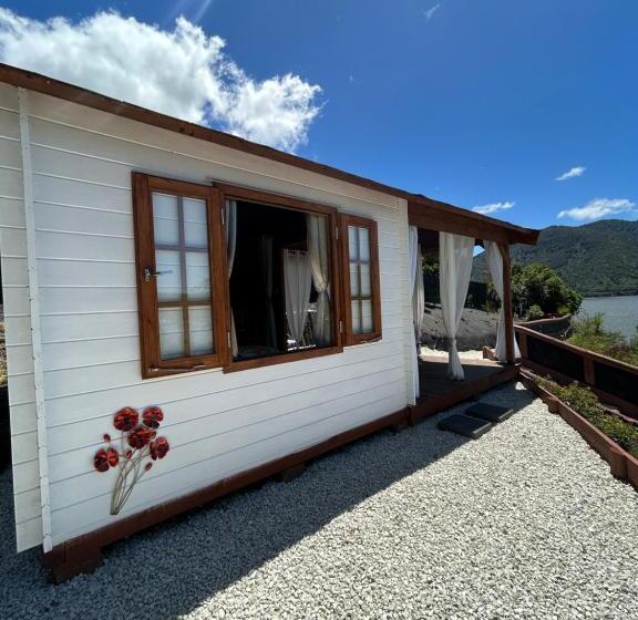 بنسيون The Petite Suite