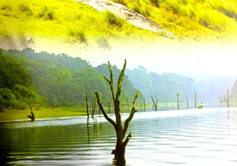 渡假胜地  Bambusa Cottages