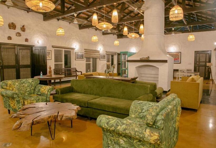 אתר נופש Camp Tigerlily   Dudhwa