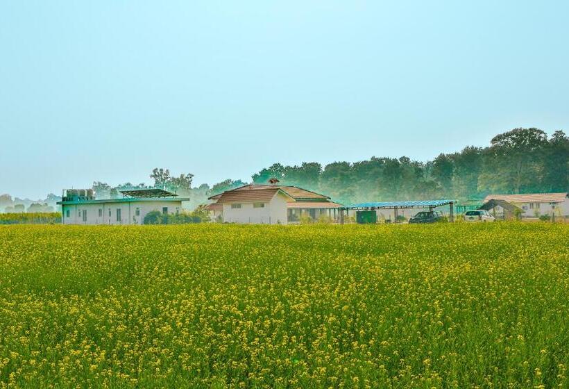 אתר נופש Camp Tigerlily   Dudhwa