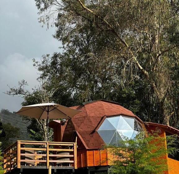 リゾートホテル Glamping Shalom