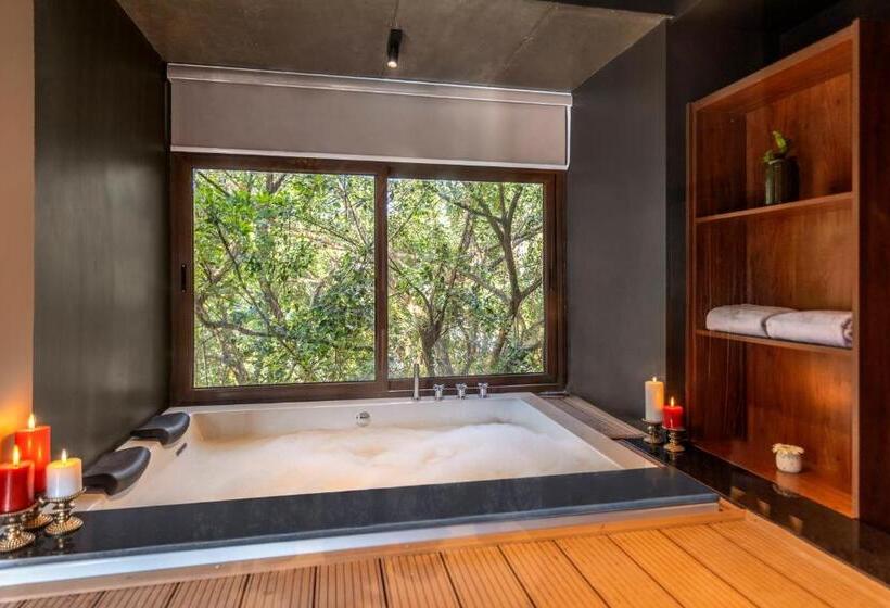 リゾートホテル Sterling Athirappilly