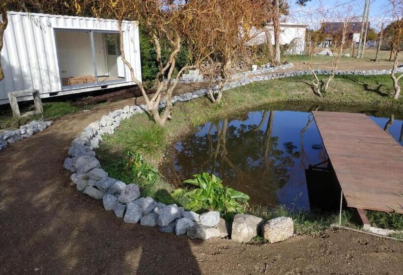 Techos Amarillos Apart