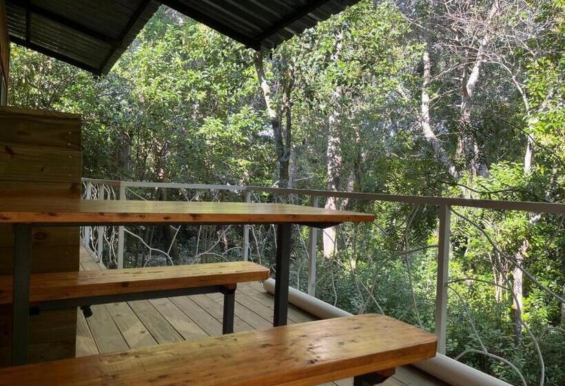 Techos Amarillos Apart