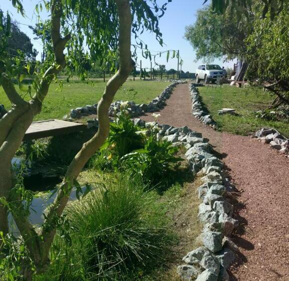 Techos Amarillos Apart