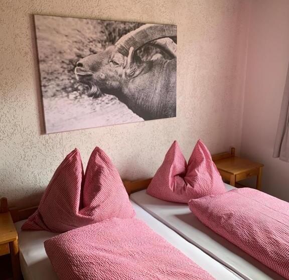 旅馆 Alpstein Das Gasthaus