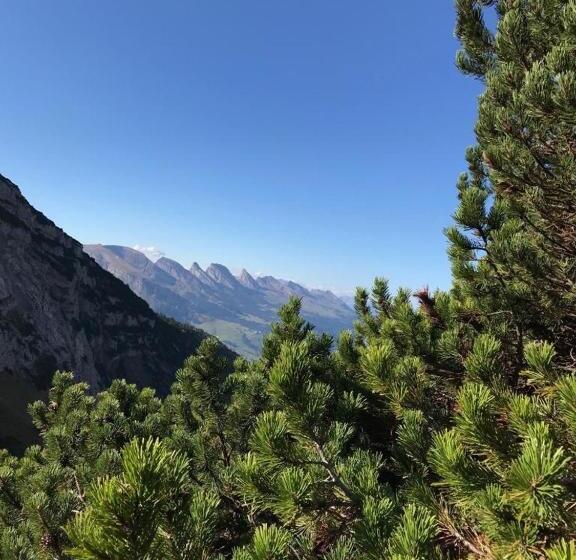 旅馆 Alpstein Das Gasthaus